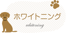 ホワイトニング