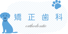 矯正歯科