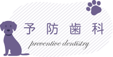 予防歯科
