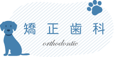 矯正歯科