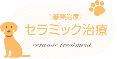 セラミック治療
