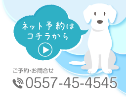 ネット予約はコチラから