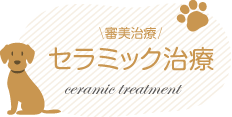 セラミック治療