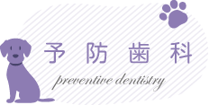 予防歯科